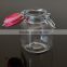 180ml Airtight Glass Jar Metal Clip Glass Spice Container