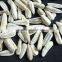 Roasted Salted White Sunflower Seeds