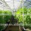 Transparent polycarbonate greenhouse sheet high quality pc hollow sheet,pc solid sheet