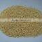 Premium Quality New Crops Dried Garlic Granules