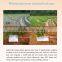 organic Polymer carbon trace elements chelated fertilizer