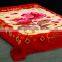 100% polyester wholesale thermal protection container home china supplier dolphin mink blanket