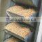 China professional high lifting height large capacity grain vertical bucket elevator for sale