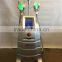 Cellulite Reduction Pain-free Cryolipolysis Machine For Home Use/cryolipolysis Slimming Machine Loss Weight
