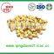 New stock blanched peanut kernels with high quality ready for export