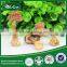 Organic Dried Agaricus Blazei Brazil Mushroom