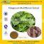 GMP Factory Supply Natural He Shou Wu Extract/Polygonum Multiflorum Root Extract