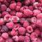 Grade A Frozen IQF raspberry whole/crumble for sale