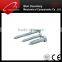 Zinc Plated DIN571 Hex Head Wood Screw