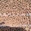 Expanded Clay balls for Indoor Garden/Bonsai, Vertical Growing System