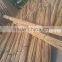 Tonkin dry green garden plant bamboo canes and bamboo stakes and bamboo poles