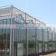 Multi Functional Glass Greenhouse For Hydroponic greenhouse & systems