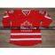 2010-NHL-Size 48-54-> #29 Fleury 2010 Olympic Canada Red NHL Jersey