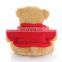 Custom Personalized Stuffed Animals 2 Meter Teddy Bear