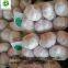 Chinese fresh garlic normal white garlic pure white garlic dry garlic