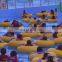Most Popular Long Water Park Equipment Drifting River