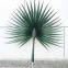 Artificial Palm Leaves