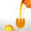 Mango Flavored Syrup No.2 (Concentrated)  china supplier factory