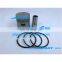 Kubota D750 Piston Kit With Piston Ring