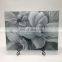 Kitchen Worktop Protector Glass Chopping Board