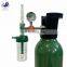 HG-IG high pressure oxygen cylinder with steel guard CGA540 regulator