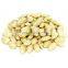 Exporters of Quality Peanuts Groundnuts Wholesale Fresh Style peanuts without shell blanched peanut kernels