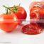 Factory tomato pulper evaporator sterilizer making machine canned Ketchup processing plant tomato sauce paste production line