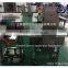 High Accuracy Check Weigher WS-N320 (20g-10kg)