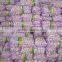 Shandong Origin 2016 new crop Fresh Garlic