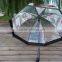 Long build Dome umbrella clear poe apollo designer transparent umbrella