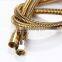 Double Lock Stainless Steel Shower Hose with Brass Nut in Gold Color, X18272F