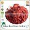 fresh goji berries-best selling christmas gifts 2016