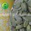 Best Selling Products Pumpkin Seeds GWS (Grown Without Shell)