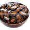 Melon Seeds For Sale