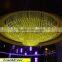FRANKEVER PMMA Indoor Side Glow Optical Fiber Chandeliers