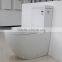 sanitary ware foshan watermark back to wall toilet 2062