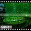 Customized Transparent Cast Acrylic Aquarium Factory Project