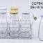 Glass bottle with straw with metal rack(CCP843/6T)