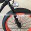 Hot sale 26" aluminum alloy fat bike wheel , brushless motor electric fat bike 36v 250w ,electric fat tire bike