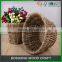 BOSHANG Seagrass Fruit Basket With Holder