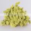 Latest silk flower decoration weddings decoration flowers with 1kg/bundle from Yunnan, China