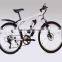 Electric bicycle (Model SEB350U)