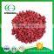 Golden Supplier Bulk Freeze Dried Raspberry