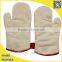 Flame Retardant Birds For Sale Oven Mitt