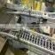 Auto assembly line flexlink conveyor system