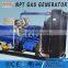 CE approved biogas generator/gas power plant 10-500kW