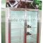 Cold room convex door with painted galvanized steel material