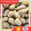 Perfect And Good Quality packing coated peanut