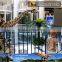 MY Dino-C038 Fiberglass dinosaur skeleton outdoor display
