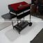 GS Certification and Powder Coated Finishing Indoor Charcoal BBQ Grill